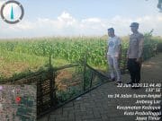 Petani Tak Sendiri, Polisi Kedopok Siap Bantu Atasi Kendala di Lahan Jagung