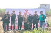 Papan Ahli Waris dan Papan Aset Pemkot Berdiri Berdampingan, Siapa Pemilik Sahnya?