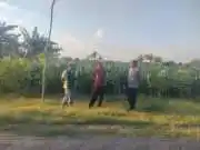 Polri Hadir di Tengah Petani, Polsubsektor Kanigaran Perkuat Sinergi Ketahanan Pangan