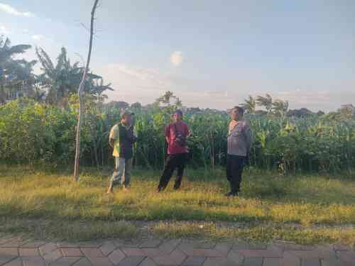 Polri Hadir di Tengah Petani, Polsubsektor Kanigaran Perkuat Sinergi Ketahanan Pangan