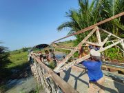 IMG-20260719-WA0271