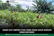 foto website - 2026-07-13T120044.398 Babinsa Aktif Dampingi Petani Terong Sebagai Bentuk Kedekatan Dengan Masyarakat