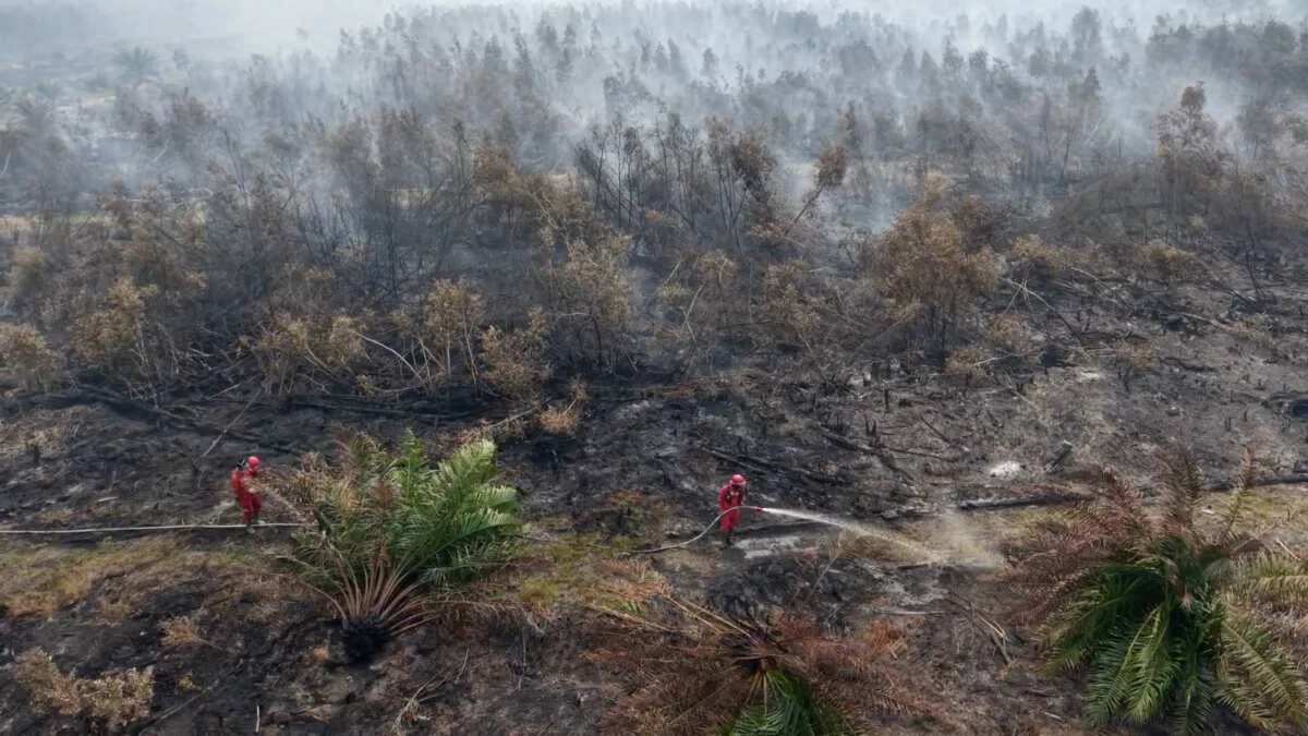 Perjuangan Tim Manggala Agni dalam Memadamkan Kebakaran Hutan di Ogan Komering Ilir
