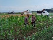 Bhabinkamtibmas Jrebeng Kidul Turun ke Sawah, Kawal Program Ketahanan Pangan