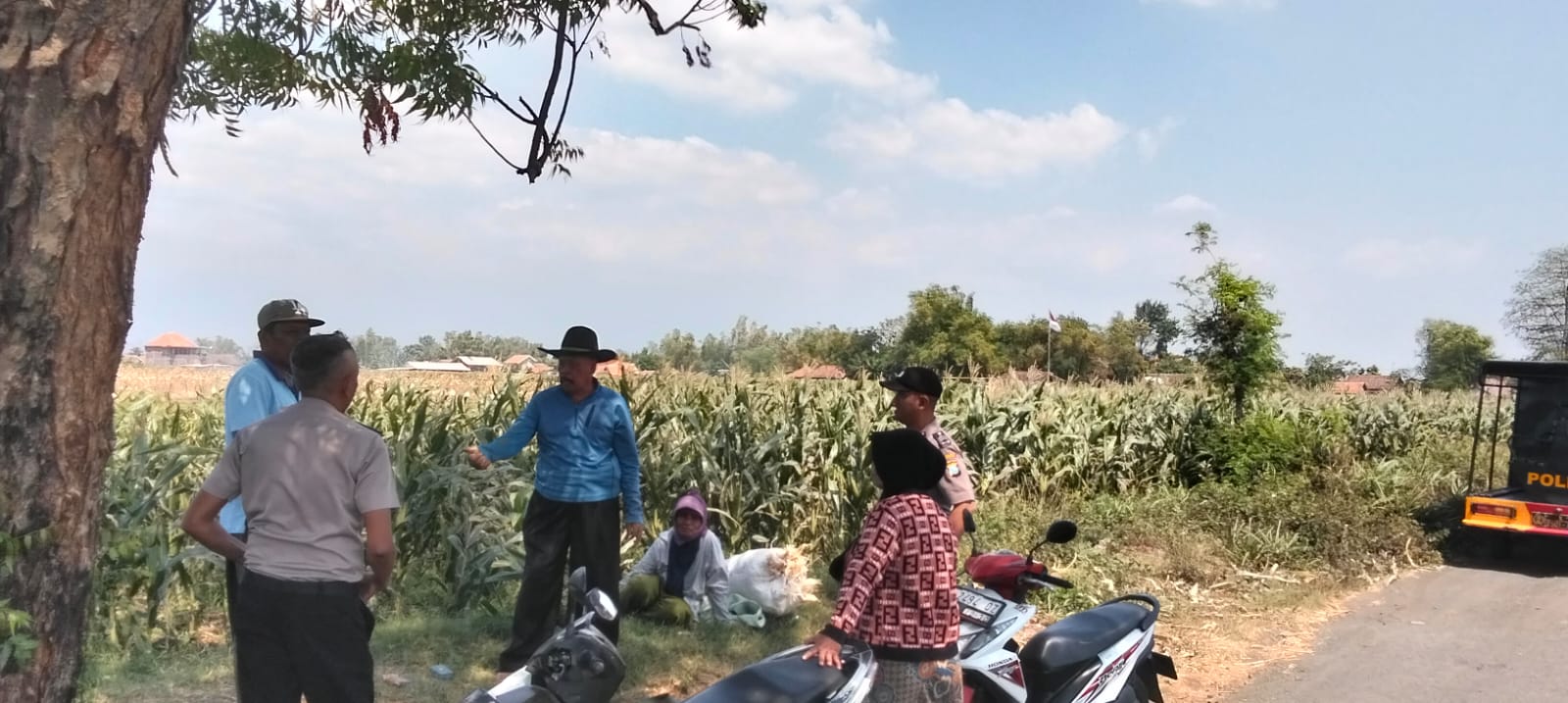 Polsek Sumberasih Aktif Pantau Lahan Jagung Binaan