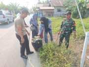 Jaga Lingkungan Tetap Bersih, Babinsa dan Warga Banua Binjai Bergotong Royong