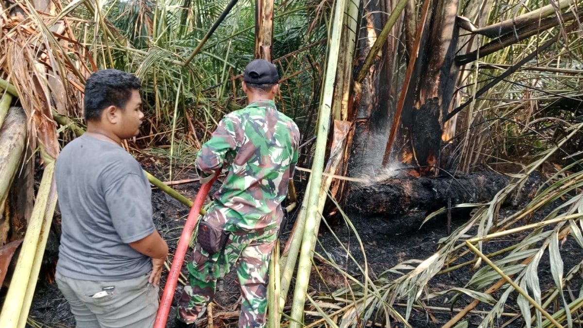 Babinsa dan Relawan Berjibaku Padamkan Karhutla di HST