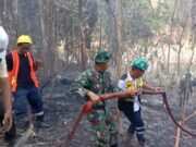 Personil Koramil 1505-03/Maba Berjibaku Padamkan Kebakaran Hutan di Puncak Gunung.
