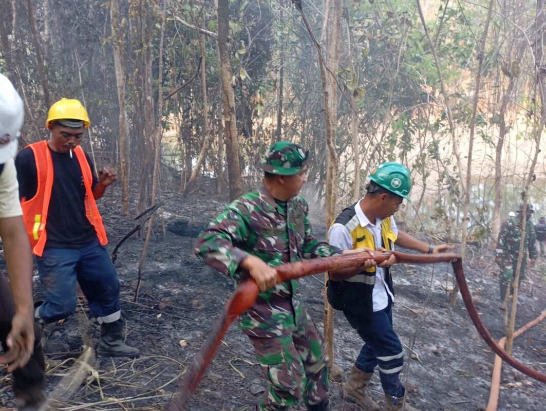 Personil Koramil 1505-03/Maba Berjibaku Padamkan Kebakaran Hutan di Puncak Gunung.