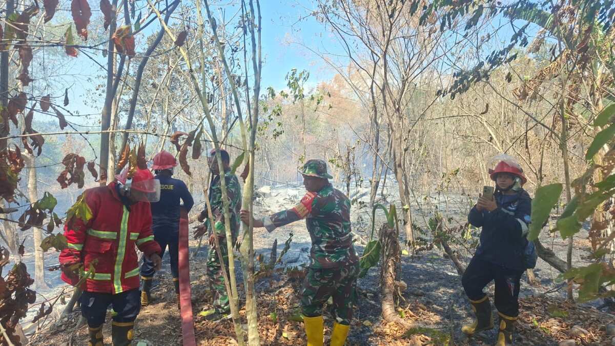 TNI Gerak Cepat Padamkan Kebakaran Lahan Perkebunan Warga di Desa Oba