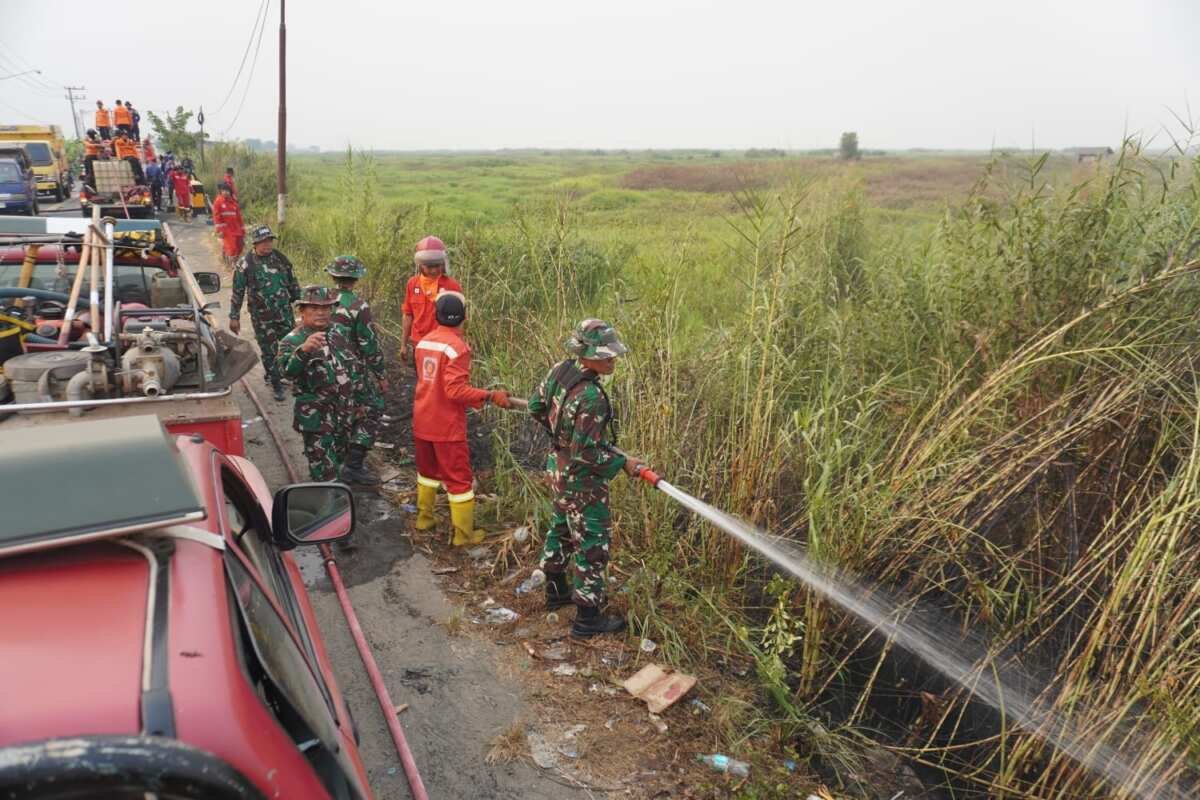 Sinergi Forkopimda HST Perkuat Penanganan Karhutla di Sungai Buluh