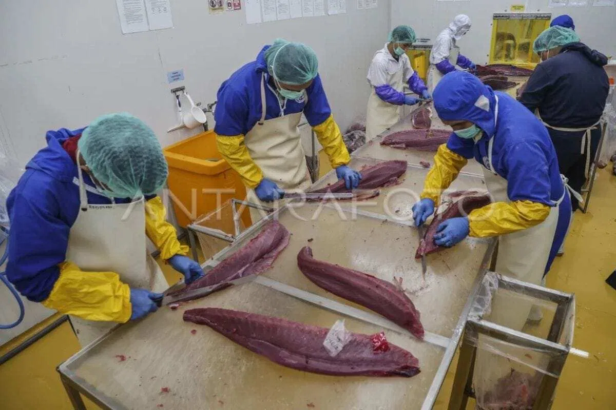 Peningkatan Kompetensi Pekerja Pengolahan Ikan Tuna di Indonesia