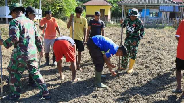 TMMD Ke-129 Tak Hanya Membangun, Tapi Juga Menanam Harapan Melalui Ketahanan Pangan
