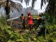WhatsApp Image 2026-08-22 at 12.52.05 (2) TNI Siagakan 66.510 Personel Tangani Karhutla di Seluruh Indonesia