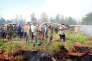 Komandan Lanud Sjamsudin Noor Pimpin Langsung Pemadaman Kebakaran Hutan dan Lahan di Kalimantan Selatan