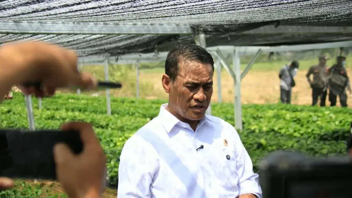 Dukungan Pemerintah untuk Pengembangan Kopi dan Kakao di Lampung