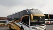 Panduan Perjalanan Bus dari Surabaya ke Jember