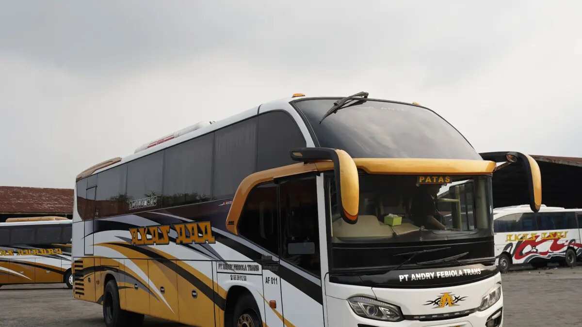 Panduan Perjalanan Bus dari Surabaya ke Jember