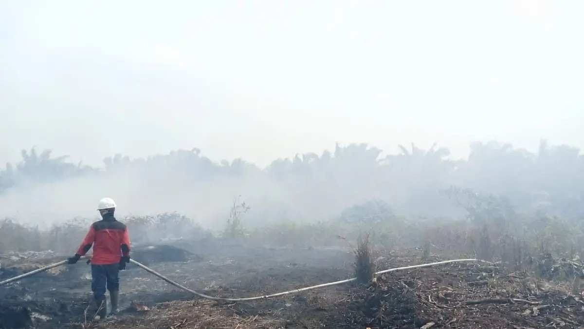Pencegahan Karhutla Kalimantan: Teknologi dan Hukum Lebih Penting daripada Tepung Ubi