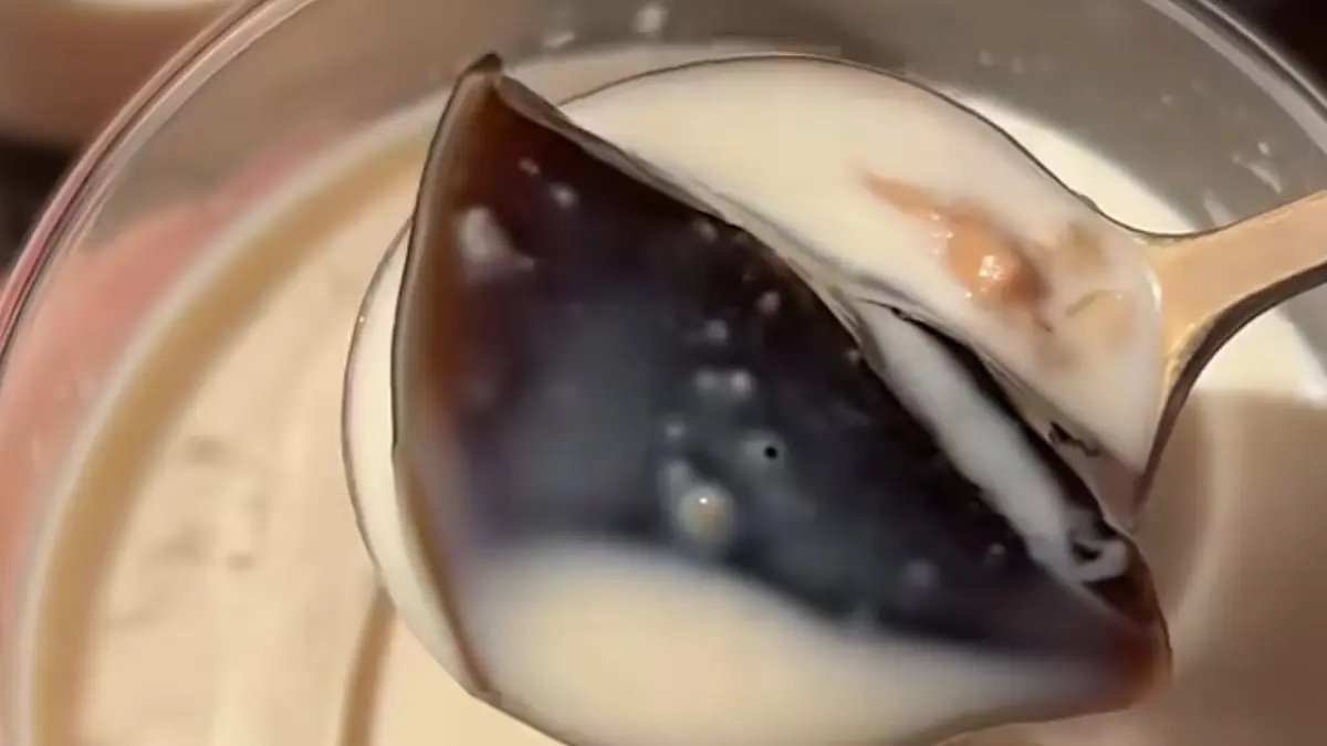 Mengenal Japanese Coffee Jelly: Dessert Kenyal Khas Jepang