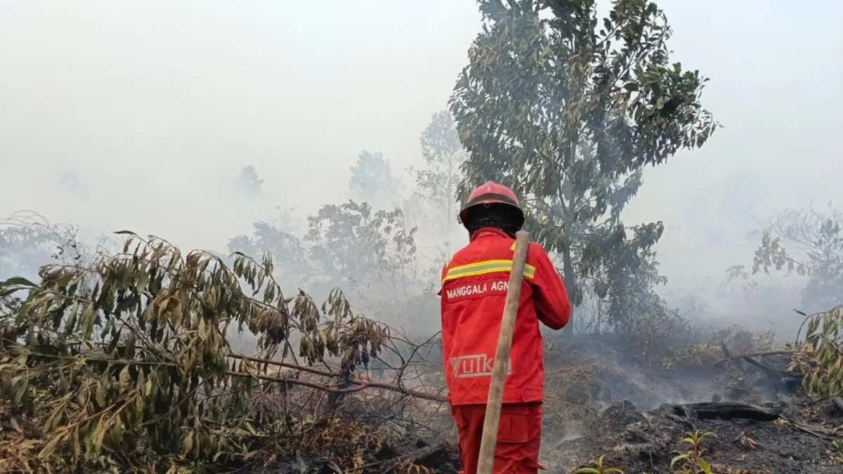 Kebakaran Hutan dan Lahan: Tren Meningkat di Kalimantan Barat dan Tengah