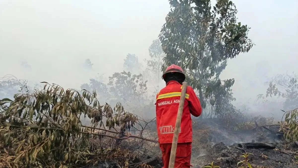 Kebakaran Hutan dan Lahan: Tren Meningkat di Kalimantan Barat dan Tengah
