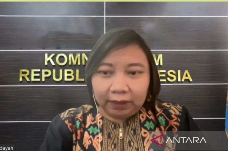 Investigasi Pelanggaran HAM dalam Peristiwa Kuda Tuli