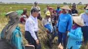 Kebijakan Baru untuk Buruh Tani di Karawang