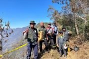 Penyelidikan Karhutla di Gunung Bromo: Kemenhut Libatkan Ahli IPB