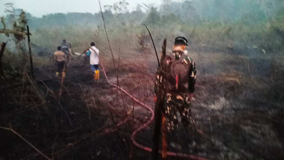 Respons Cepat Karhutla Dekat IKN, TNI Gerakkan Helikopter Caracal untuk Water Bombing