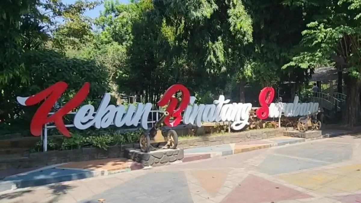 Pendaftaran Calon Direksi BUMD Surabaya Diperpanjang