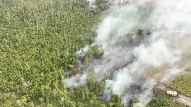 Kebakaran Hutan di Jambi: Ancaman Besar bagi Ekosistem Gambut