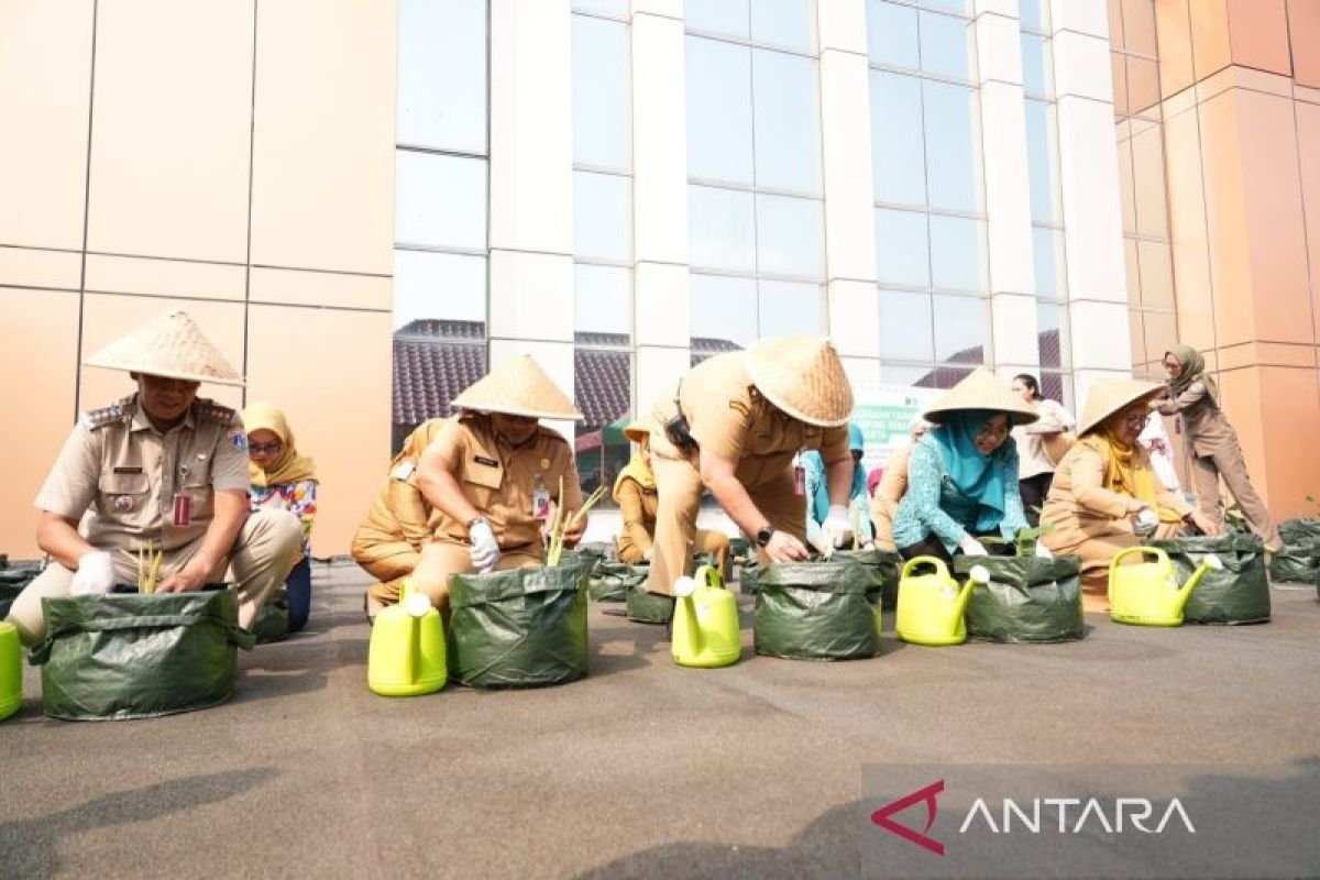 Peningkatan Ketahanan Pangan Melalui Penanaman Bibit di Jakarta Pusat