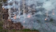 Upaya Penanganan Karhutla yang Melibatkan Pejabat Tinggi di Kalimantan dan Sumatra Upaya Penanganan Karhutla yang Melibatkan Pejabat Tinggi di Kalimantan dan Sumatra