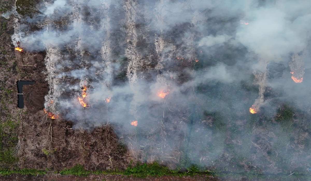 Upaya Penanganan Karhutla yang Melibatkan Pejabat Tinggi di Kalimantan dan Sumatra