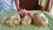 Insiden Keracunan Makanan di SMAN 3 Nganjuk Insiden Keracunan Makanan di SMAN 3 Nganjuk
