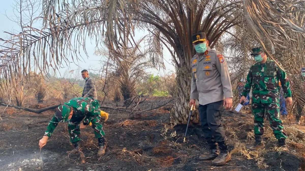 Kebakaran Hutan di Riau: Upaya Pencegahan dan Tindakan POLRI