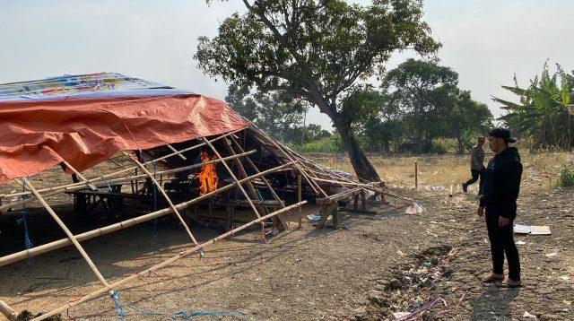 Penggerebekan Arena Judi Sabung Ayam di Gresik