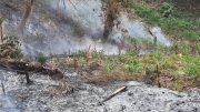 Kebakaran Hutan Dekat TPA Sarimukti KBB