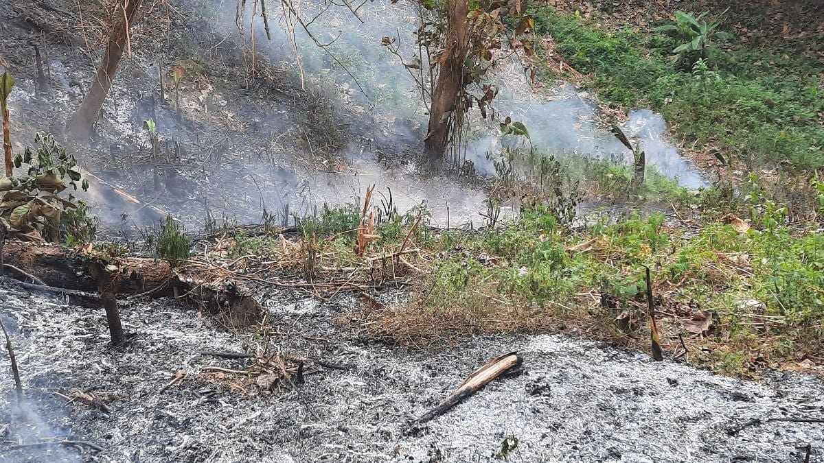 Kebakaran Hutan Dekat TPA Sarimukti KBB