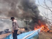 Tindakan Cepat Mengatasi Kebakaran Lahan di Sota