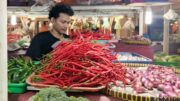 Lonjakan Harga Cabai Rawit dan Dampaknya terhadap Konsumen