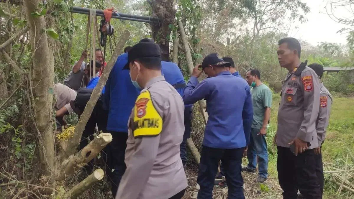 Evakuasi Dramatis Kerbau Betina dari Sumur Tua di Serang