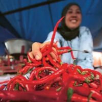 Upaya Penstabilan Harga Cabai Rawit di Indonesia