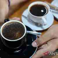 Mulai dari Toraja, Mandailing, Gayo, Wamena, Kintamani, hingga Gunung Halu dapat ditemukan di sini
