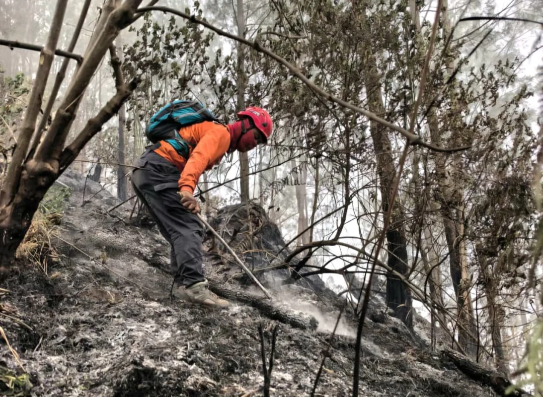 Upaya Penanganan Kebakaran Hutan di Malang dan Blitar