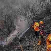 Kebakaran Hutan Kembali Melanda Jawa Timur, 1.000 Hektare Terbakar