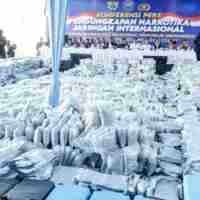Dua Pria Ditangkap dengan 62,5 Kg Ganja di Jakarta Barat Dua Pria Ditangkap dengan 62,5 Kg Ganja di Jakarta Barat