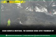 foto website (9)