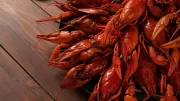 Petugas memastikan seluruh benih bening lobster tersebut telah diamankan untuk kepentingan proses penyidikan lebih lanjut